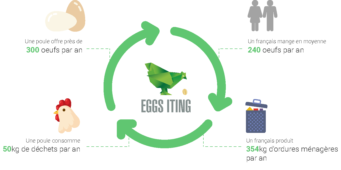 Le cercle vertueux d'Eggs-iting