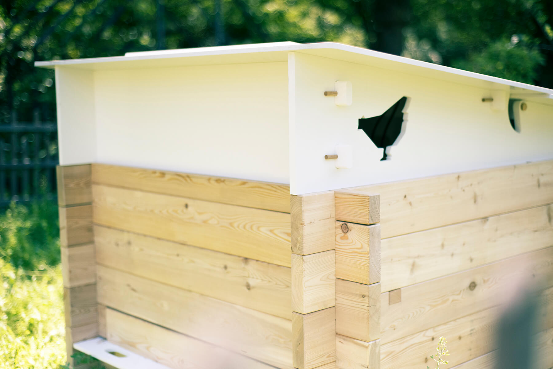 Arriere poulailler eggs iting