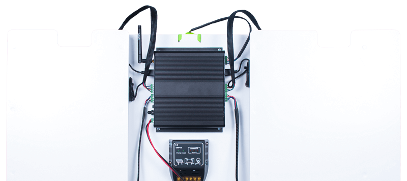 Nid eggs iting trans