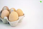 Oeuf Nature Eggs iting 2