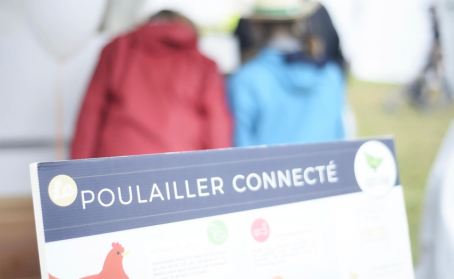 Le poulailler Eggs iting présent à Terres de Jim