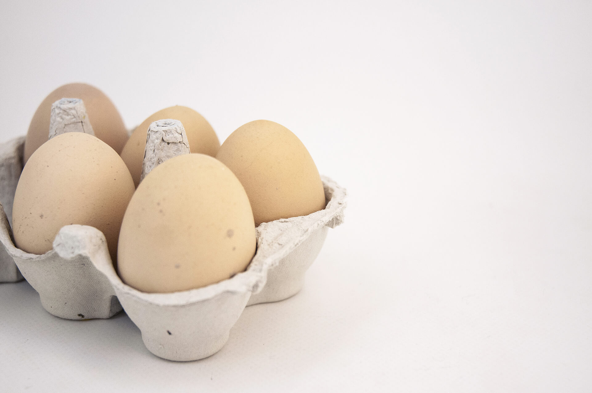 Des oeufs frais avec un poulailler
