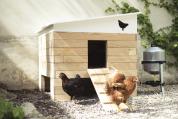 Poulailler Eggs iting avec poules