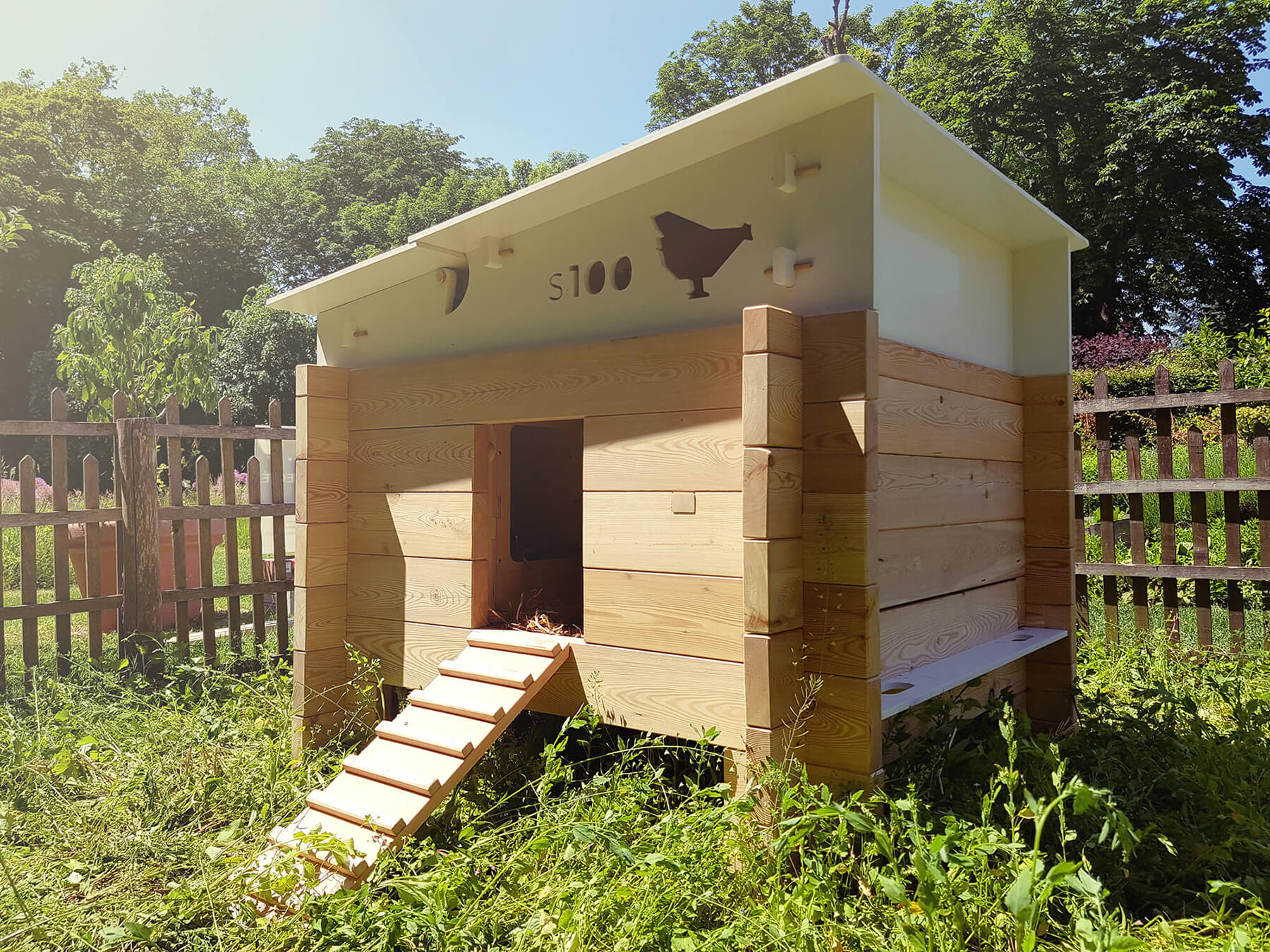 Poulailler eggs iting versaille